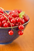 A bowl of redcurrants