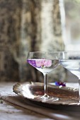 Gin Cocktail mit Kornblume