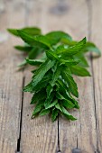 Fresh peppermint (Mentha piperita) on a wooden table