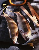 Frische Fische mit Angelutensilien und Massstab