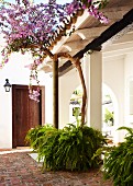 Roofed, Mediterranean entrance courtyard with tall bougainvillea and potted ferns