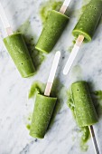 Grüne Smoothie-Popsicles (Spinat, Minze, Banane, Orange und Kokoswasser)