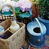 Watering can, wicker bottle carrier & potted hydrangea on balcony