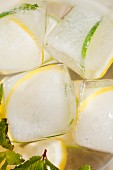 In Eiswürfel eingefrorene Zitronen- und Limettenscheiben