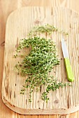 Fresh lemon thyme on a chopping board with a knife