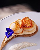 A pancake topped with fried scallops and a pansy