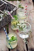 Home-made lemonade with peppermint in screw-top jars