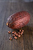 A cacao pod and chocolate drops