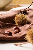 Sweet chestnuts on a brown cloth