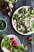 A Cous Cous Salad with Radish, String Beans, Feta and Parsley