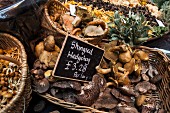 Fresh shingled hedgehog mushrooms in a basket at the market