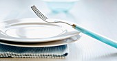 Two white plates with a pale blue fork