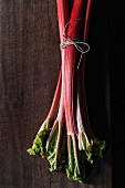Rhubarb stalks, tied in a bundle, on a wooden surface
