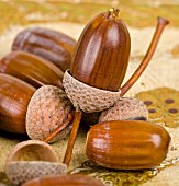 Several acorns (close-up)