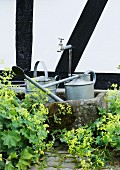 Blech Giesskannen in angemoostem Stein Brunnen vor Hauswand mit Fachwerk
