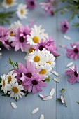 Wreath of pink and white daisies