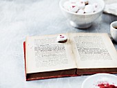 Pfeffernüsse (spiced soft gingerbread from Germany) with an old cookery book