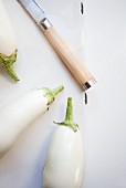 White aubergines and a knife (view from above)