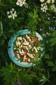 Vegetable salad with chicken and mozzarella