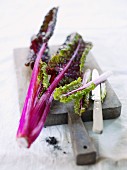 Red chard with a knife on a chopping board
