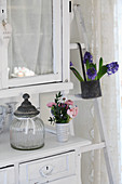 Antique storage jar and posy of pink ranunculus on shabby chic dresser and pot of blue hyacinths hanging on ladder
