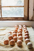 Eggs Set laid out to dry after being washed