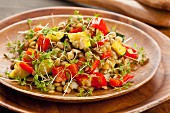 Lentil salad with grilled peppers, courgette and cress