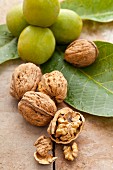 Walnuts (green, whole, shelled and cracked)