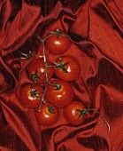 Tomaten auf rotem Seidenstoff