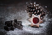 Christmas cookie in front of a pine cone, old cookie cutter