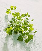 Fresh chervil