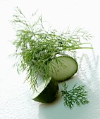 Fresh dill