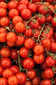 Many Fresh Grape Tomatoes