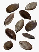 Several pumpkin seeds against a white background