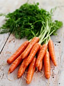 Fresh carrots on wooden background