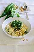 Risotto with wild garlic and pine nuts