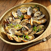 Gedämpfte Little Neck Clams mit frischen Kräutern