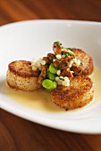 Seared Scallops with Fava Beans and Mushrooms in a White Wine Reduction