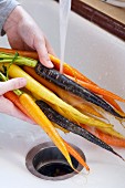 Washing Carrots; Orange, Yellow and Purple
