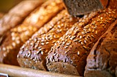 Sunflower bread on a bakery shelf