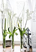 Narrow glass vases of spring flowers, Easter decorations and candle lantern