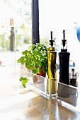 Olive oil, balsamic vinegar, a pepper mill and fresh basil on a glass table