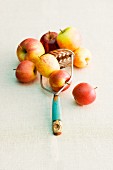 Several apples and a masher