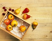 Verschiedene Gartenfrüchte (Äpfel, Birnen, Kirschen)