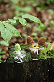 Crocheted toadstools in jars on mossy tree stump