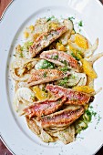 Fillets of red mullet with fennel and orange segments