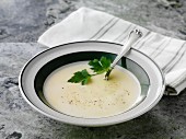 Cream of chicken soup with parsley