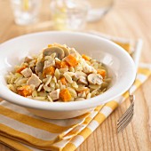 Orzo pasta with squash, mushrooms and chicken