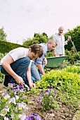 Grandpa, father and son working in the garden