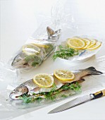 Trout cooked in a roasting bag with dill and lemon